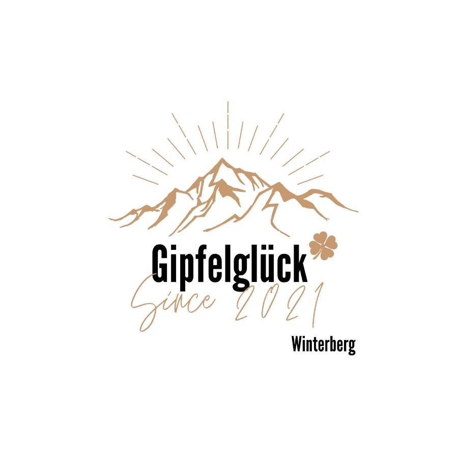 Ferienwohnung Gipfelglueck Zwischen Bikepark & Skipiste Вінтерберг Екстер'єр фото